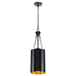 Bailey 1-Light Black Industrial Pendant Light with Geometric Iron Shade by TRIBESIGNS WAY TO ORIGIN