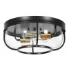 14 in. 2-Light Black Flush Mount Ceiling Light with Bubble Glass Shape by TRIBESIGNS WAY TO ORIGIN