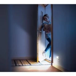 150 Lumens Motion Activated Dusk to Dawn LED Night Light by Westek -Outlet OttLite Store westek led night lights nl fdlt 76 1000